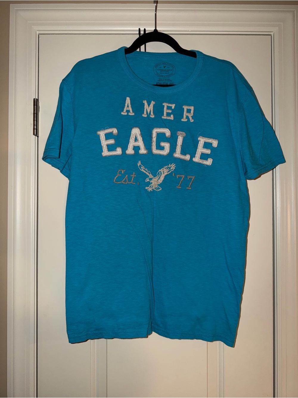 American Eagle Outfitters Turquoise Blue Graphic Eagle Tee